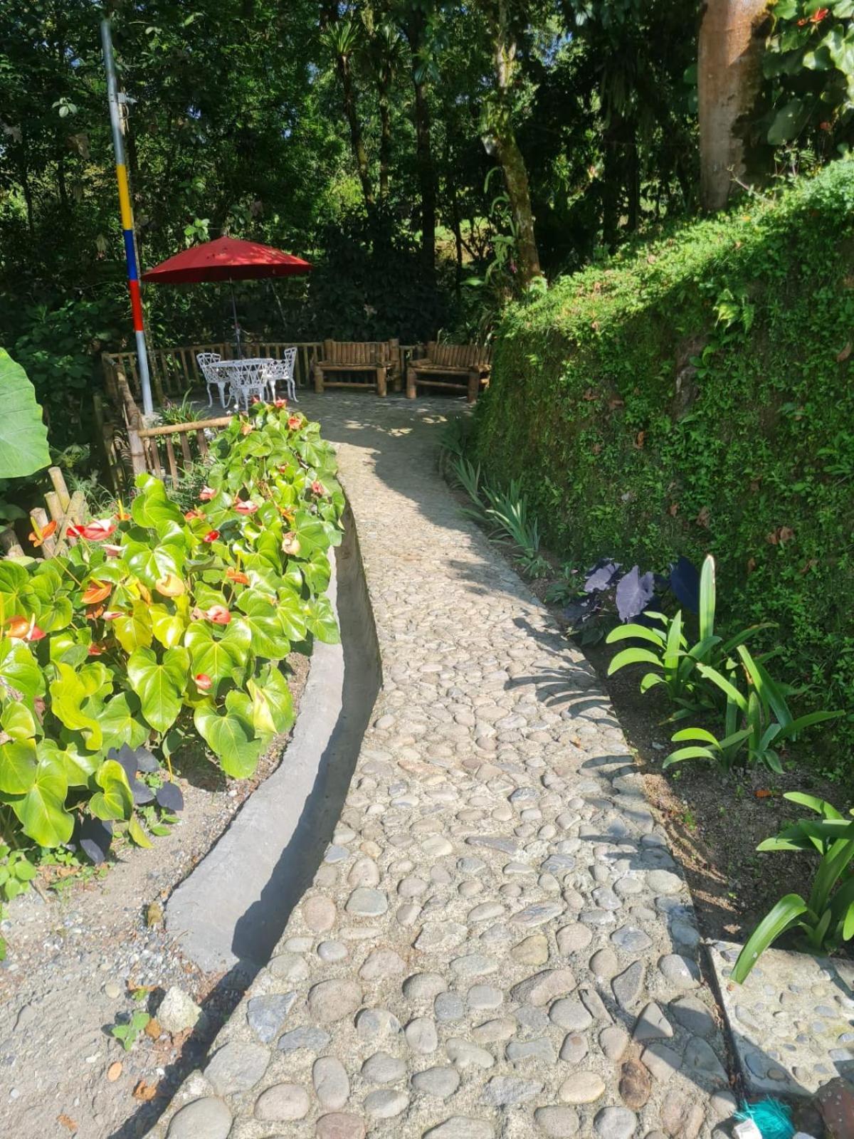 Cabanas Filadelfia Santa Rosa de Cabal Exteriér fotografie